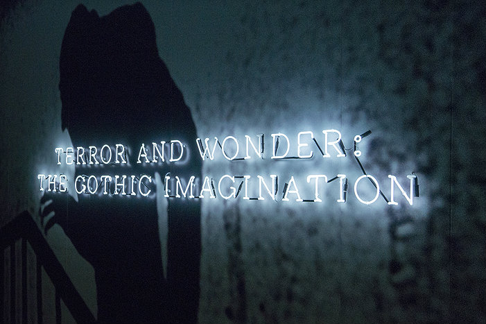 Terror and Wonder image