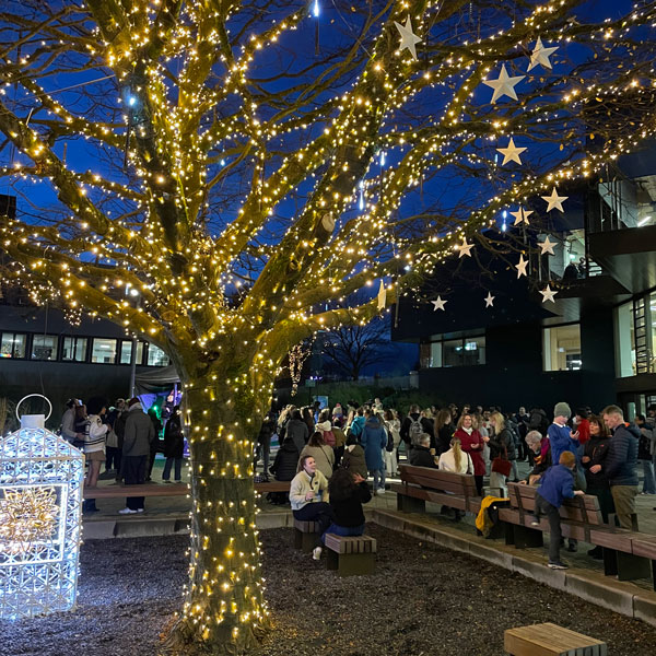 Tree with twinkling Christmas lights