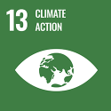 Sustainable Development Goal 13 logo - Climate Action