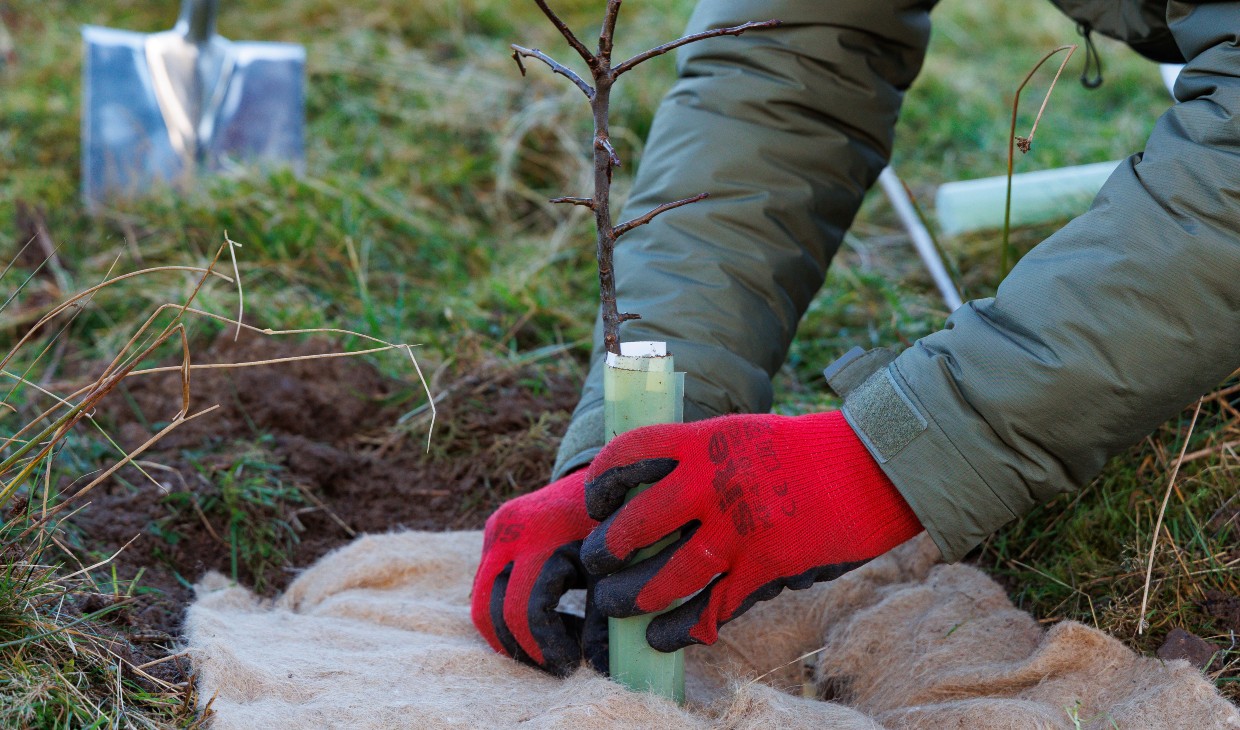 UoSGlenFinglasTreePlanting1240x730