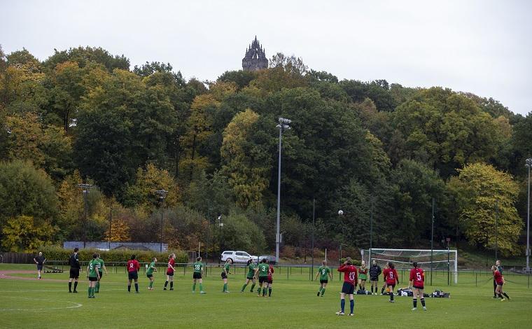 Grass pitches