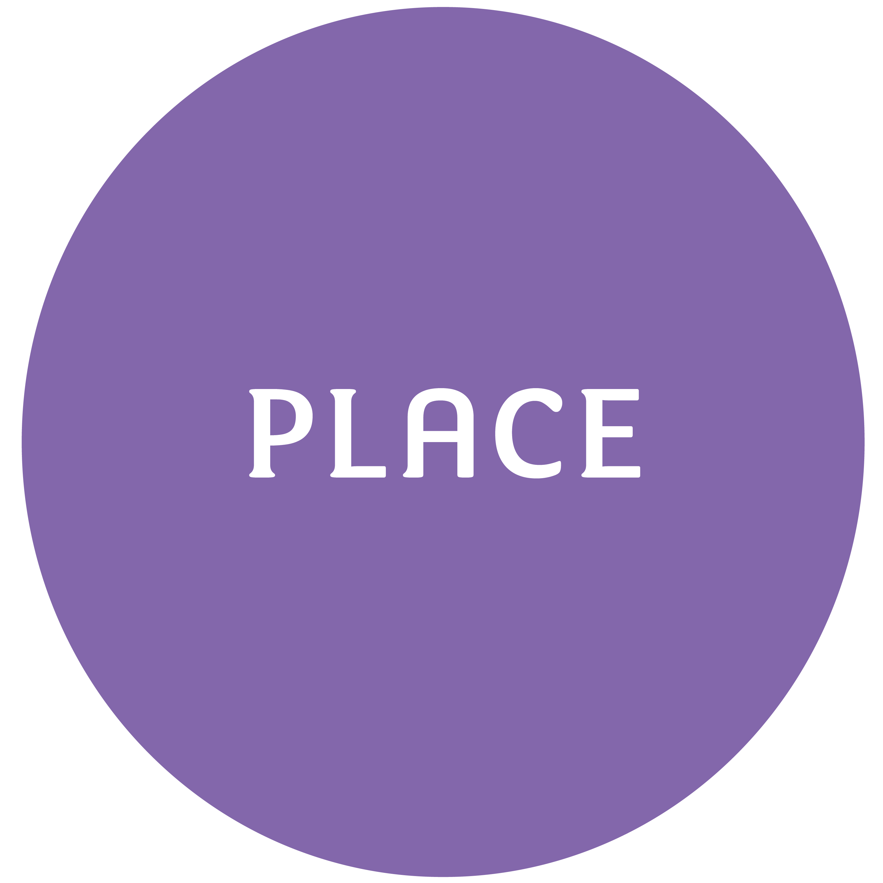 Our shared vision: place