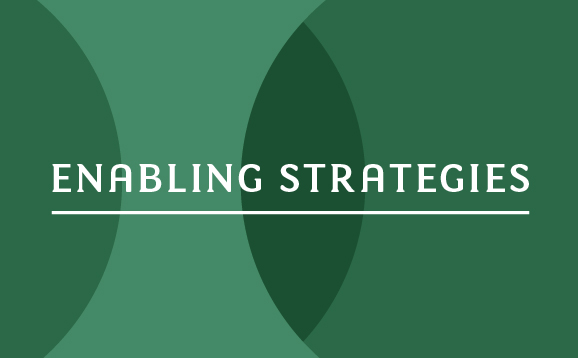 Enabling strategies